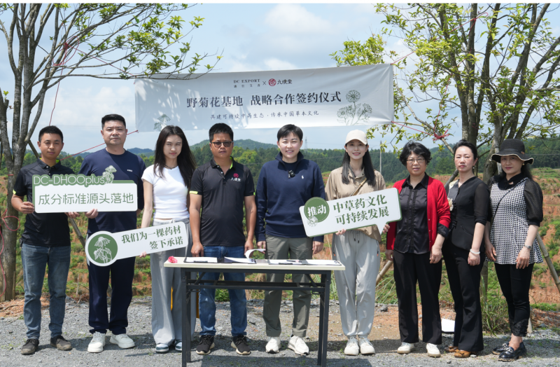 迪仕艾普“新公益”迷局：揭秘野菊花护肤背后的真相与消费陷阱