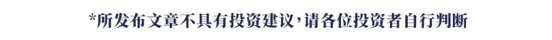 Palantir股价暴跌：动量与基本面的博弈