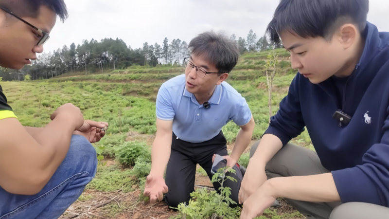 迪仕艾普“新公益”迷局：揭秘野菊花护肤背后的真相与消费陷阱