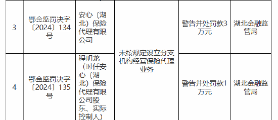 安心(湖北)保险代理有限公司因违规经营被罚，凸显行业监管重要性