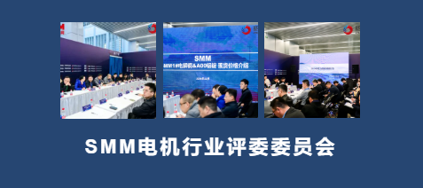 寧波電機產業變革：IEMC2025引領全球能源危機解方